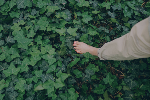 conexion natural barefoot naturaleza salud