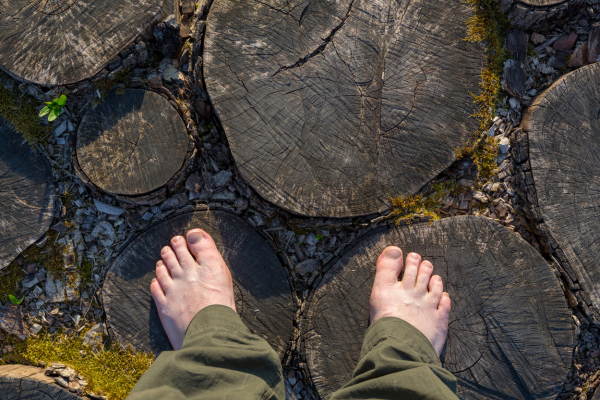 salud integral ritmos circadianos vivir mejor